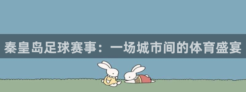 秦皇岛足球赛事:一场城市间的体育盛宴