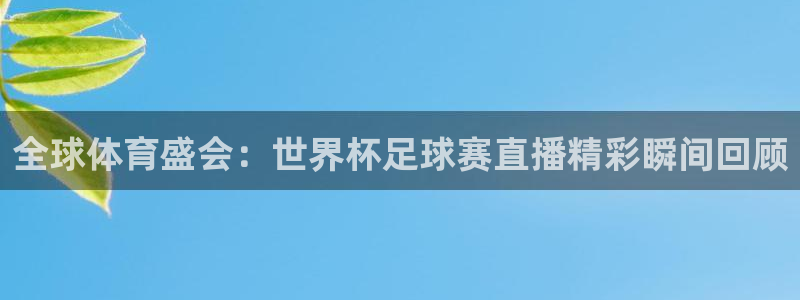 全球体育盛会:世界杯足球赛直播精彩瞬间回顾
